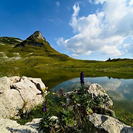 Apartament Gutl Plank Altaussee Zewnętrze zdjęcie